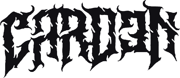 CARD3N jagged logo in black